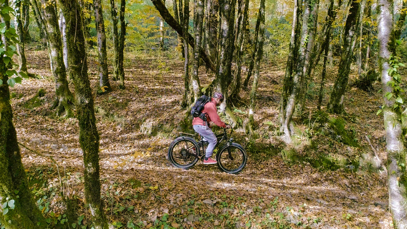 Himiway Electric Bike in the forest
