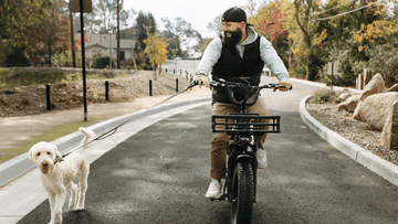 Himiway Big Dog Review: The Most Detailed Description -Himiway eBike