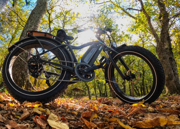 How to Choose the Best E-Bike for Hunting