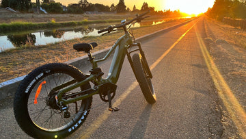 Himiway D5 2.0 vs Cobra: Which Electric Bike Matches Your Riding Style?