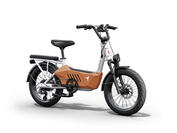 Customized Design and Alignment with Family Lifestyle Needs: In-Depth Analysis of the Special -Himiway eBike
