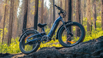 Is the Himiway D5 2.0 Worth the Upgrade? A Guide for Cruiser & Zebra