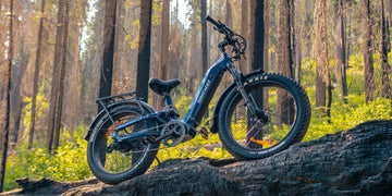 8 Reasons to Buy (and 3 NOT to Buy) Himiway D5 2.0