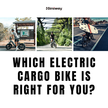 Himiway electric cargo bike 