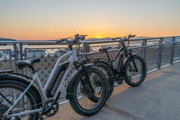 Comparing Features and Choosing Your Perfect E-bike | Himiway