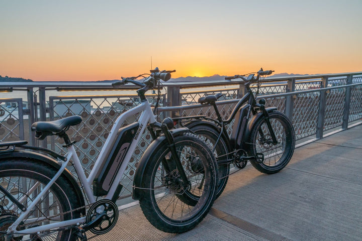 Himiway Cruiser vs. Himiway Zebra: Comparing Features and Choosing Your Perfect E-bike