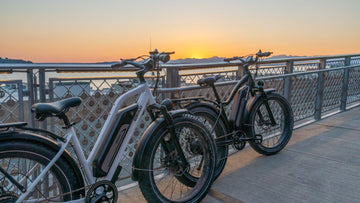 Himiway Cruiser vs. Himiway Zebra: Comparing Features and Choosing Your Perfect E-bike -Himiway eBike