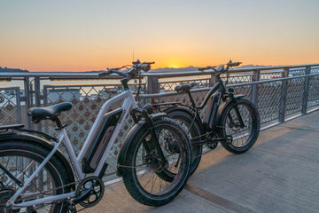 Himiway Cruiser vs. Himiway Zebra: Comparing Features and Choosing Your Perfect E-bike -Himiway eBike