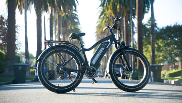 Himiway Cruiser vs. RadRover 5 -Himiway eBike