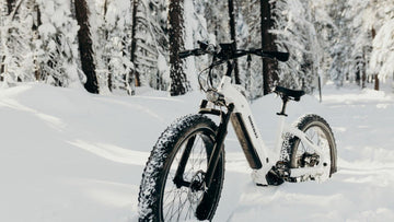 Winter Hunting E-bike Safety Guide -Himiway eBike