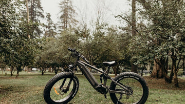 Cycling Route for Adirondack Park Loop -Himiway eBike
