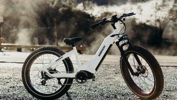 Ebike Showdown: Himiway Zebra vs Radrover 6 Plus -Himiway eBike