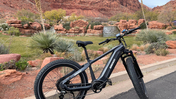 Himiway Zebra Review: The Ultimate Guideline -Himiway eBike