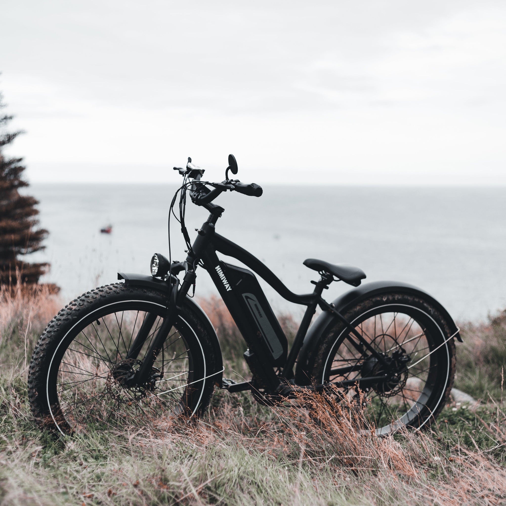 Electric Skateboards