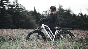 5 Reasons Why Electric Bikes are so Expensive -Himiway eBike