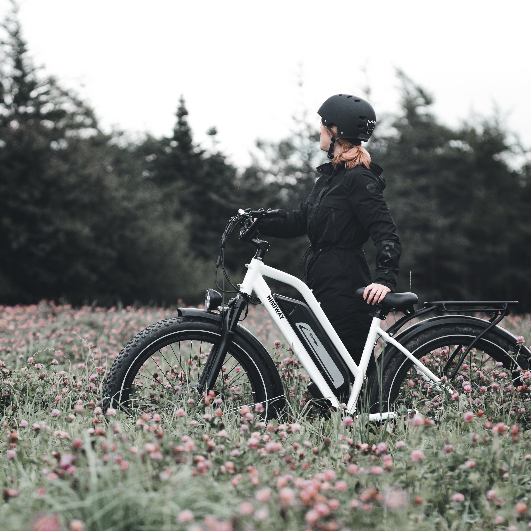 Why ebikes are so expensive