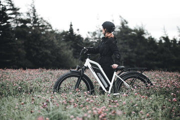 5 Reasons Why Electric Bikes are so Expensive