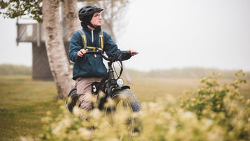 E-bike Market Trends, Analysis and Challenges 2021 -Himiway eBike