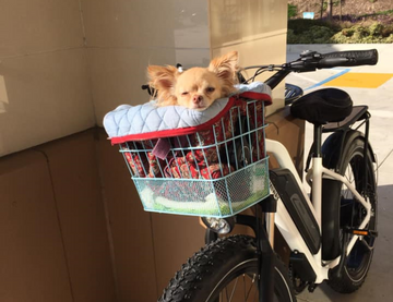 riding Himiway Ebike with your pet dog