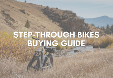 Electric Bike Buying Guide For Seniors