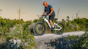 Discover Your Stripes: Every Rider's Unique Himiway D5 Color -Himiway eBike