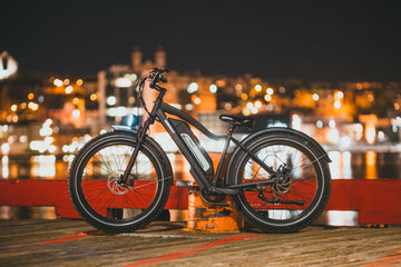 Himiway Cruiser E-Bike Fat tire bike