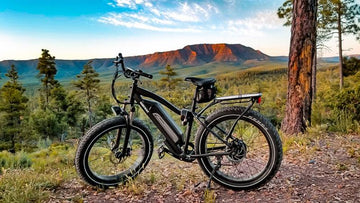 6 Things You Should Know About Electric Fat Tire Bike -Himiway eBike
