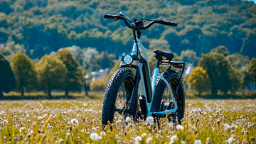 Himiway Cruiser Step-Thru All Terrain Fat Tire Electric Mountain Bike