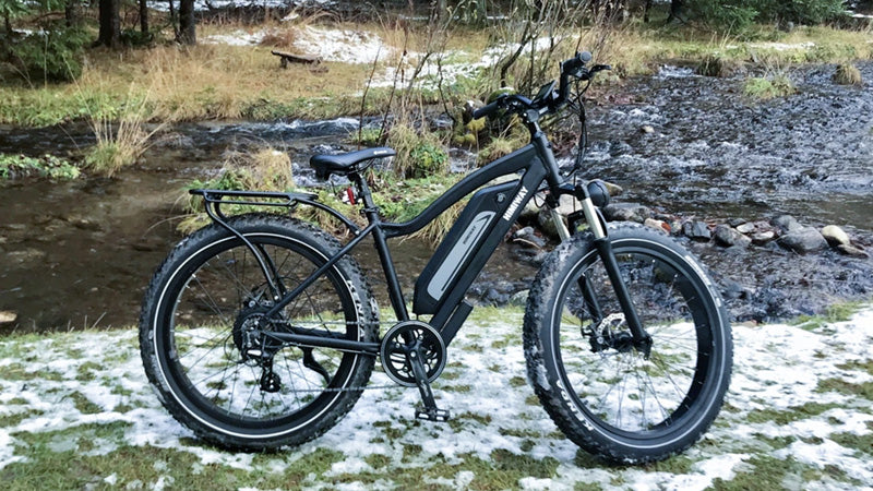 Can Electric Bikes Replace Traditional Bikes?