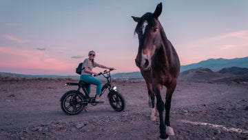 Understanding the Differences Between Moped Style E-Bikes and Electric Scooters -Himiway eBike