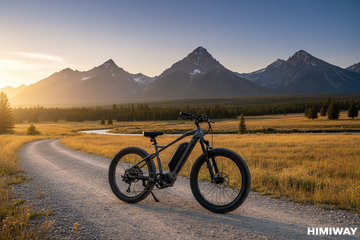 Ebike Montana Law