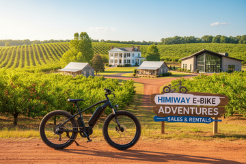 eBike Store in Georgia