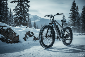 Fat Tire E-Bikes for Off-Road and Snow