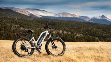 Why Are E-bike Companies Raising Their Prices? -Himiway eBike