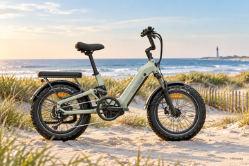 Ebike Delaware Law