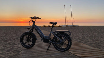 Best Electric Cargo Bike to Meet Your Needs -Himiway eBike