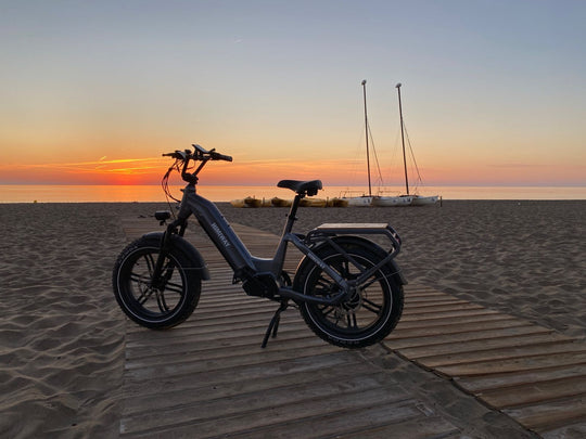 The Best Electric Cargo Bike to Meet Your Needs