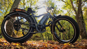 5 Tips to Prepare Your Electric Bicycle for Spring -Himiway eBike