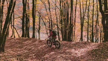 California State Route 1: A Classic Ride Routine in a Lifetime -Himiway eBike