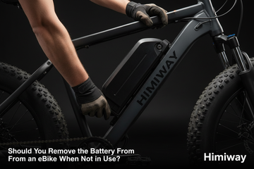 Should You Remove the Battery From an eBike When Not in Use?