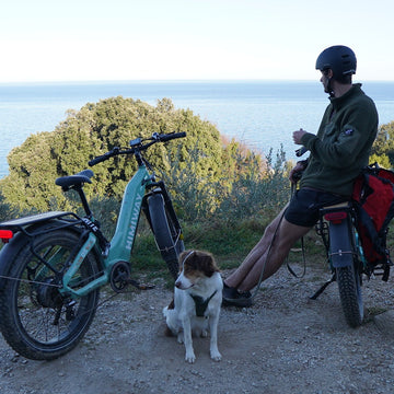 Best Ebikes for Seniors