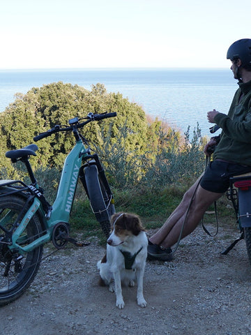 Best Electric Bikes for Seniors
