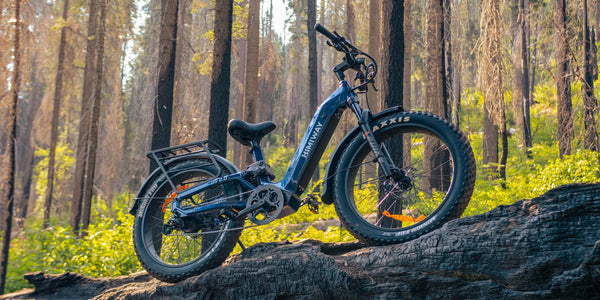 Step-Thru eBike -Himiway eBike