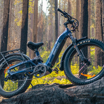 Adults Electric Bikes