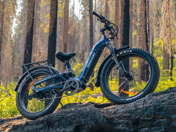Electric Bike For Plus Size Women