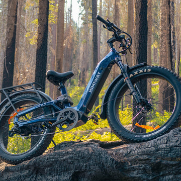 Police Electric Bike