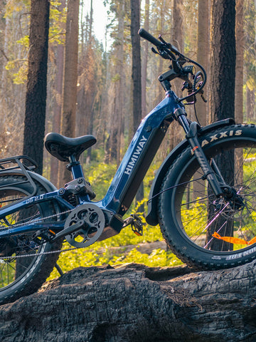 Police Ebike
