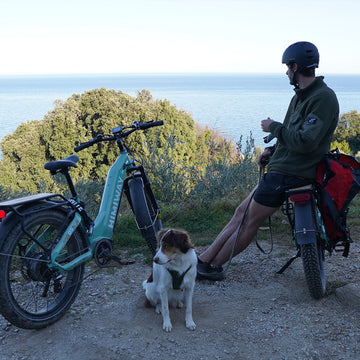 Front Suspension Ebikes