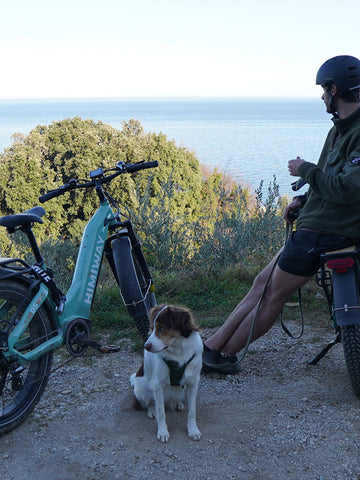 Pedal Assist Electric Bike