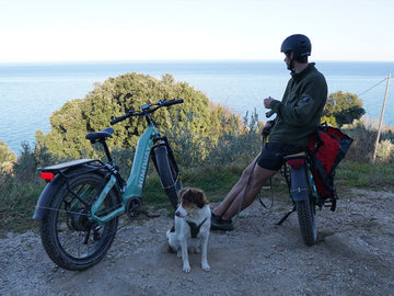 Pedal Assist Electric Bike